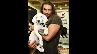 Jason Momoa Then and Now Transformation Before & After Actor #shorts #aquaman #pic #slideshow #hot