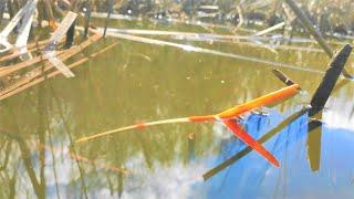 Large CRUCIAN BAST shoes swarm in the FIREWOOD... and THEY EAT Fishing for a float in Russia