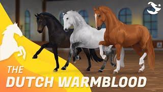 Dutch Warmblood   Star Stable Horses