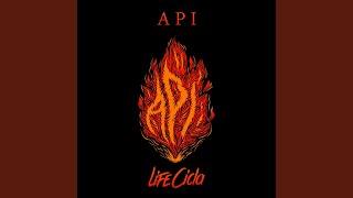 Api