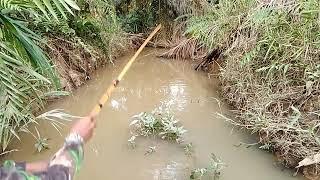 Kalimantan...mancing di parit kecil.di mana ada air di situ pasti ada ikannya