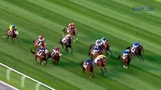 Скачки в Дубае Dubai World Cup 2016