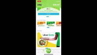 How to Make Money using Zap Surveys