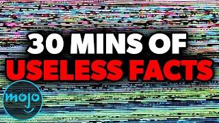 Top 200 Even MORE Useless Facts You Dont Need to Know