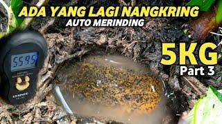 Baru Datang Langsung Disuguhi Penampakan - Mancing Belut berkilo-kilo bagi2 ke tetangga part #3