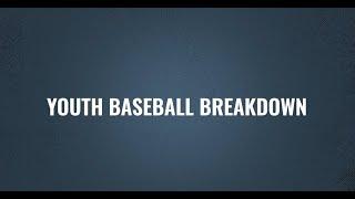 How To Choose A Youth Baseball Bat  Bat Expert Advice