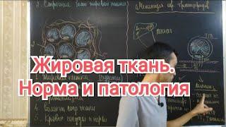 Гистология. Жировая ткань  белая и бурая. Строение и функции. Норма и патология. #15