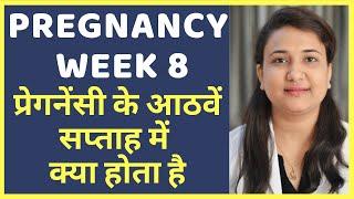 प्रेगनेंसी का आठवां सप्ताह  PREGNANCY WEEK 8