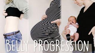 PREGNANCY BELLY PROGRESSION IN A PANDEMIC  BABY #2