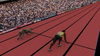 Speed Comparison Average Person VS Usain Bolt & Cheetah