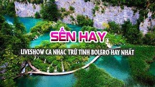 LIVESHOW SẾN BOLERO Cảnh Đẹp Hay Nhất Thế Giới NGHE LÀ MÊ - Quá Bất Ngờ Với Giọng Ca Trữ Tình Độc Lạ