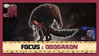 Monster Hunter Focus #7  ODOGARON