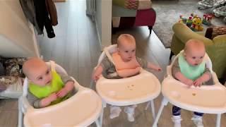 BABY TRIPLETS EAT LEMON FOR THE FIRST TIME
