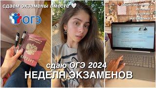 неделя экзаменов  сдаю ОГЭ 2024 *влог*