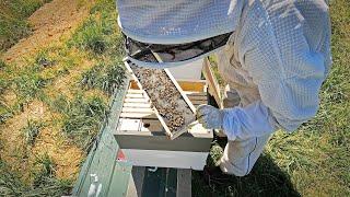 Checkerboarding Foundation to draw comb evenly