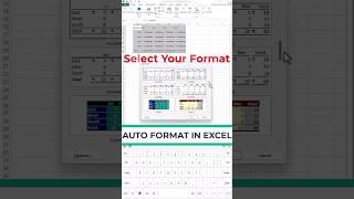 Auto Format In Excel #reels #viral #education #excel #uae #usa #tally #computer #finance #accounting