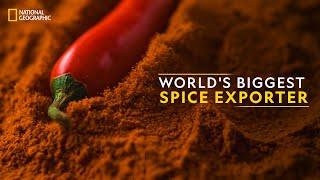 Worlds Biggest Spice Exporter  It Happens Only in India  National Geographic