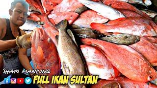 Hasil mancing melimpah ruah.Panen Kerapu kakap merah kakap putih dan ikan karang