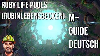 Ruby Life Pools Rubinlebensbecken M+ Guide Deutsch  Doctorio