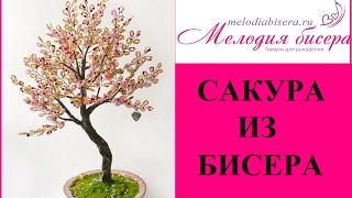 САКУРА из БИСЕРА - мастер-класс. Урок 1 - Веточки