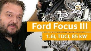Watch and Work - Eğitim Zaman ayarı kayışının değiştirilmesi Ford Focus III 1.6l TDCi 85 kW
