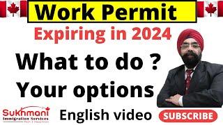 PGWP Expiring in 2024Your Options & Possible Solutions? English Video Sukhmani Immigration