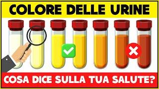 Cosa dice il colore delle tue urine sulla tua salute? - Salute dellApparato Urinario Escretore