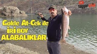 Gölde At çek İle ALABALIK AVI Efsane Boy Balıklar Aldık