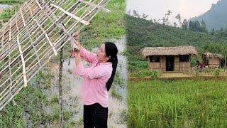 Build a melon trellis repair the house after the storm