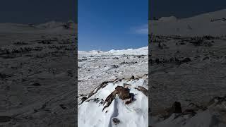 Backcountry skiing at Hidden Valley in Rocky Mountain National Park  #backcountryskiing