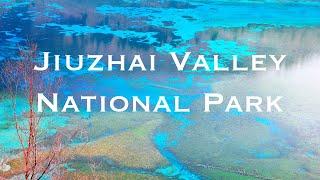 Jiuzhai Valley 4K  National Park  Sichuan  China  Globe Trotter