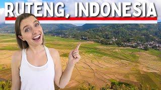  is RUTENG INDONESIA worth visiting? Ruteng Hobbit Cave & Spider Web Rice Fields