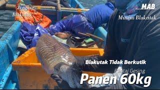 JIGGING CUMI  Tarikannya Bikin Nagih 