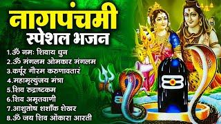 नाग पंचमी स्पेशल भजन 2024  Naag Panchami Bhajan  Naag Panchami Song  Shiv Bhajan  Bhajan भजन