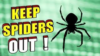 How To Naturally Stop Spiders From Entering Your Home  Room