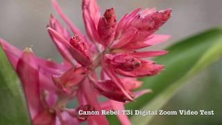 Canon EOS Rebel T3i Digital Zoom Video Test