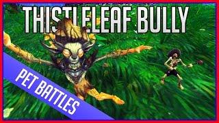 WoW Pet Battles - How to Beat Thistleleaf Bully