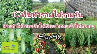 10พืชที่ทำรายได้ทุกวันเข้ากระเป๋าได้สบายสำหรับคนขยัน Ep#49