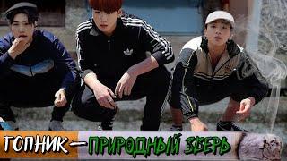 Гопник — природный зверь  SliFFka  Bangtan Boys BTS #ВиГуки  Мужская озвучка фанфика