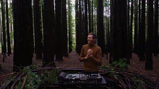 Keinemusik Inspired Afro & Melodic House set part 2. Relaxing Forest DJ Mix 4K Unreleased IDs