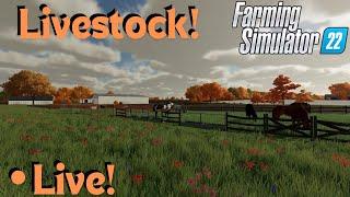 Finally Picking Up Some Livestock Farming Simulator 22 FS22