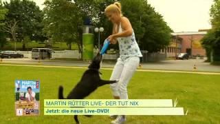 Martin Rütter - Der tut nix - Jetzt auf DVD