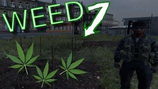 DayZ  Selling Weed in The Streets of Electro Funny