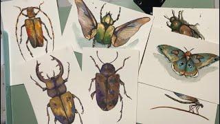 Watercolour experiments -Bugs