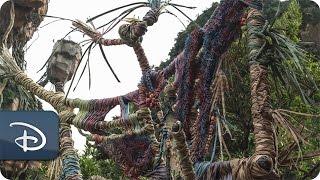 ‘Placemaking’ Pandora - The World of Avatar  Disneys Animal Kingdom