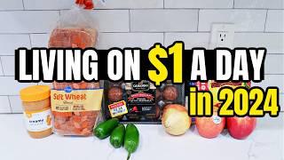 Eating for $1 a Day  Full Week of Cheap and Healthy Meal Ideas You Need to Try in 2024