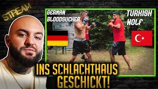 German Kickboxer vs. Turkish Wolf  Brutal KO   Edmon reagiert  Stream Highlights