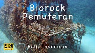 Diving the Biorock Pemuteran Bali