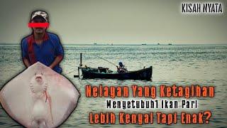 Nelayan ikan Mati Ketika Sedang Berzina Dengan ikan Pari