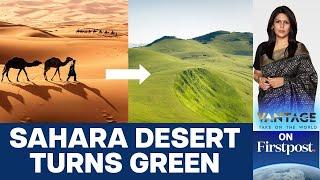 Sahara Turns Green Should we Celebrate or Worry?  Vantage with Palki Sharma